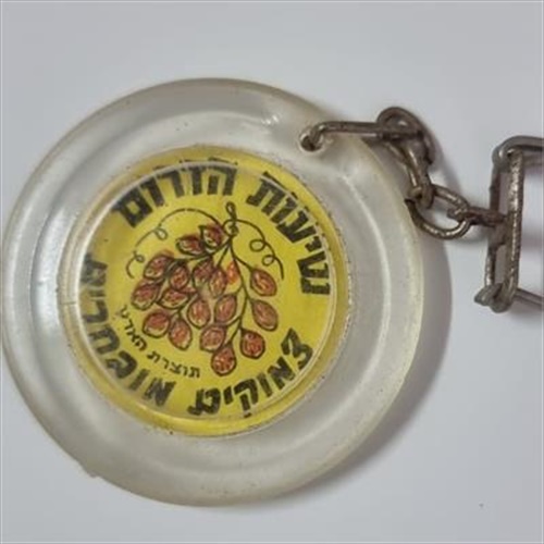מחזיק מפתחות "אגודת השקד"