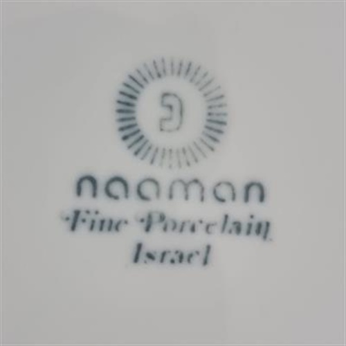 סט צלחות טלוויזיה נעמן דגם TV