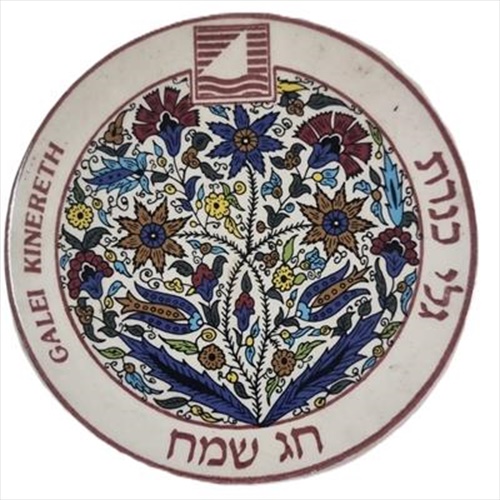 צלחת קרמיקה גלי כנרת
