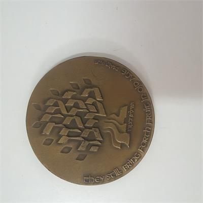 מדליית ״האדם המבוגר״ 