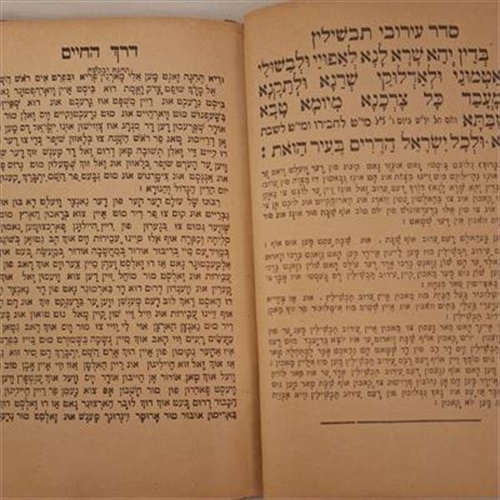 מחזור קרובות - מהדורת ניו יורק-אוסטריה