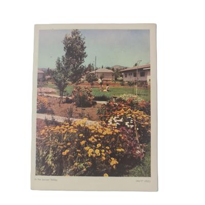 כרטיס "שנה טובה" של המשביר המרכזי